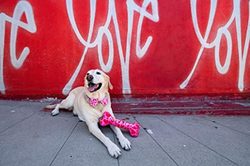 Huxley & Kent לכלבים | עצם אהבת הגור שלי | יום האהבה צעצוע כלבים מצחיק | צעצוע של כלב כוח פלאש עם חריק